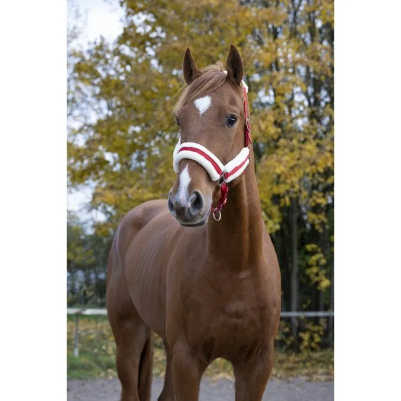 Недоуздок с искусственным мехом NORTON "CONFORT"