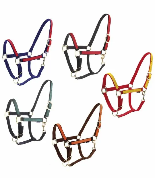 Недоуздок нейлон Roma двухцветный