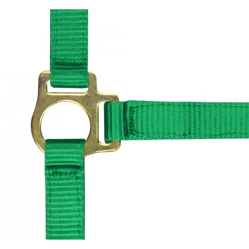 Недоуздок NORTON для жеребят зеленый