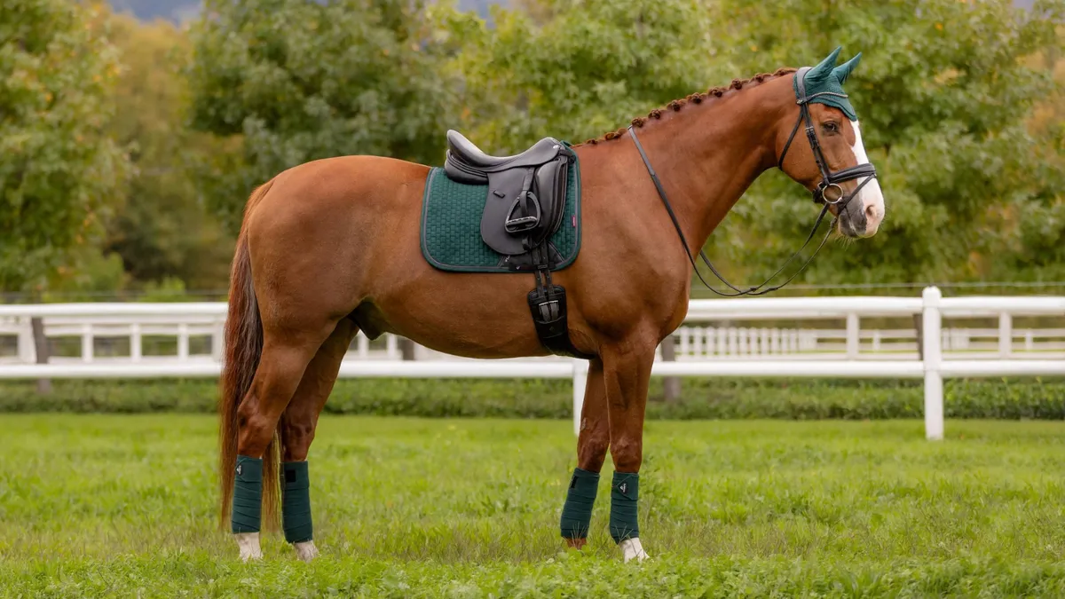 Вальтрап с бинтами "Classic Spruse"