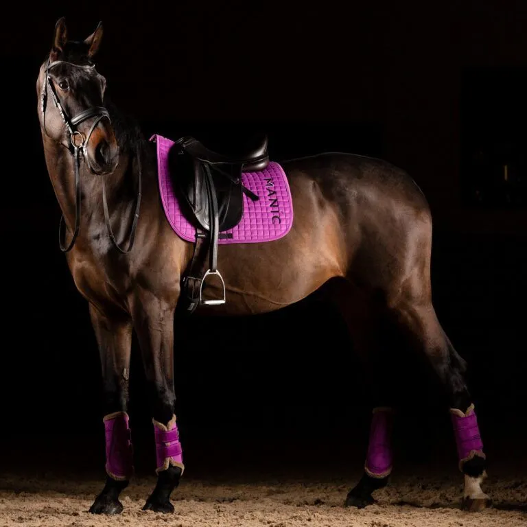 Вальтрап Manic Gentle Touch, Фиолетовый выездковый