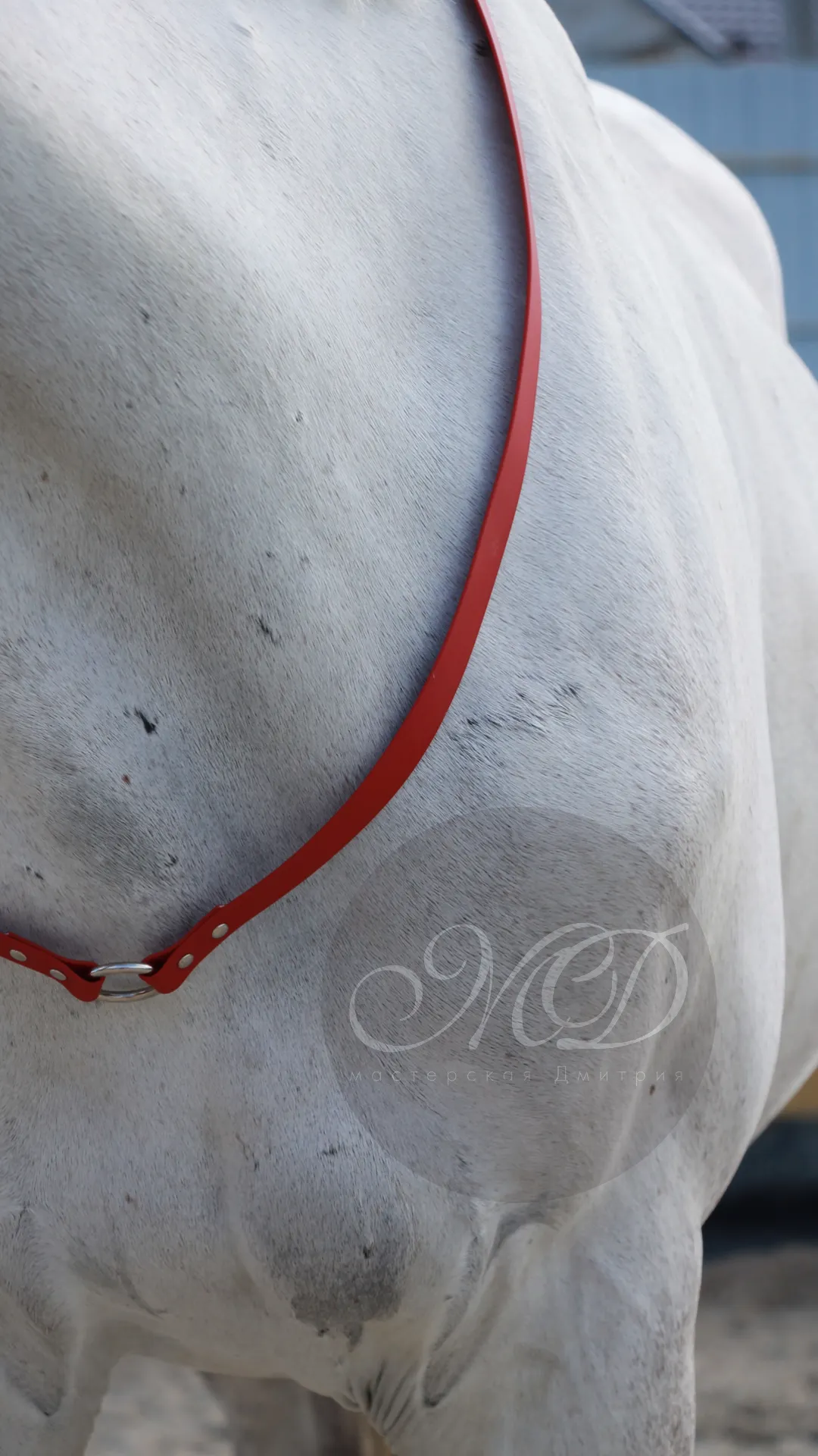 Кордео из биотана 