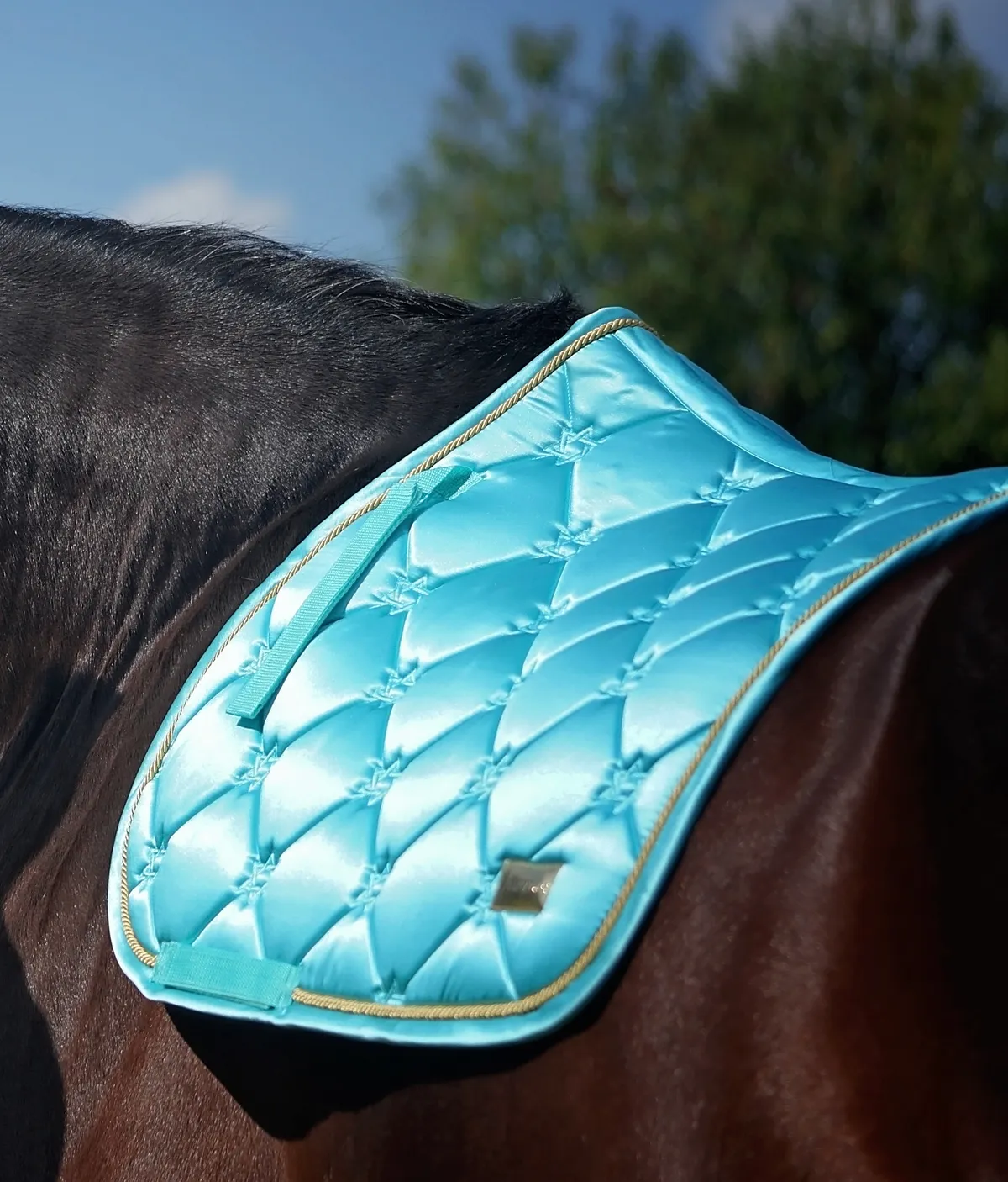 Конкурный вальтрап