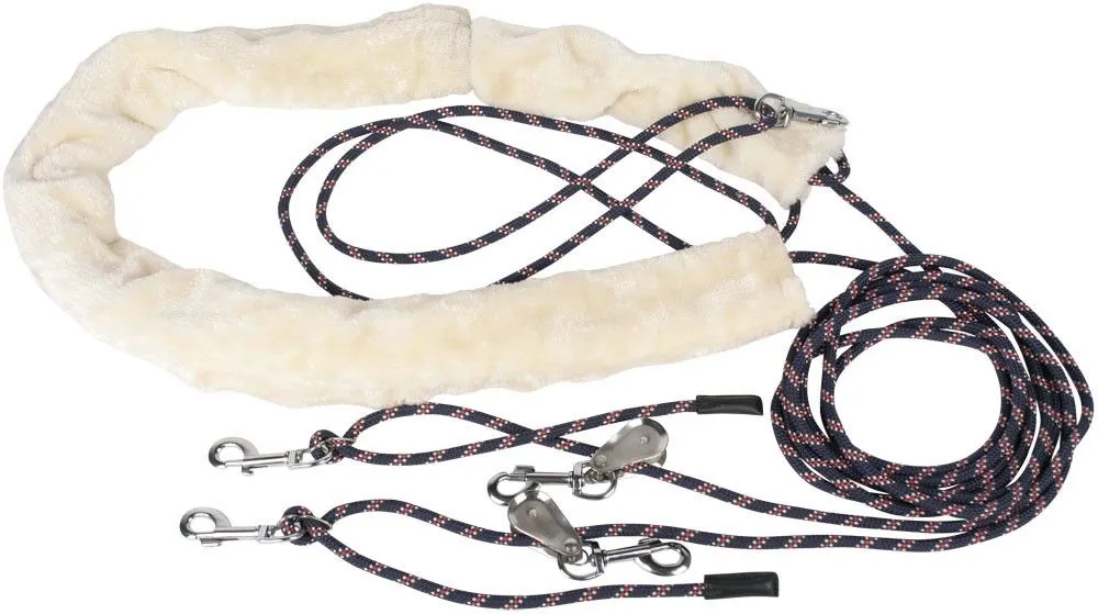 Шлея Пессоа