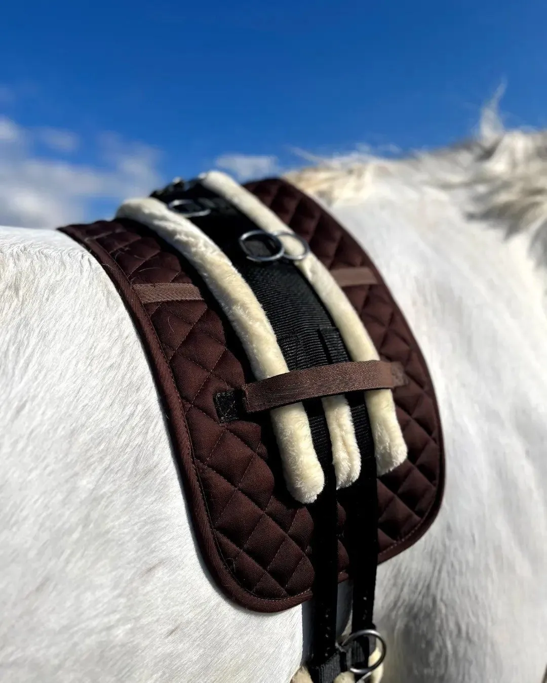 Вальтрап под гурту