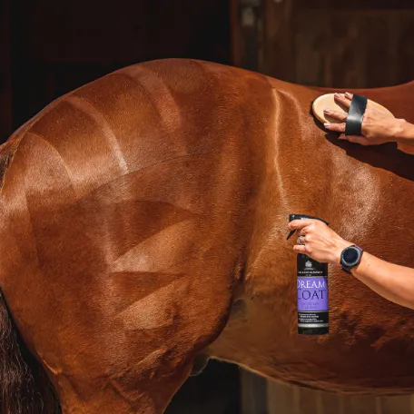 Кондиционер "DreamCoat"