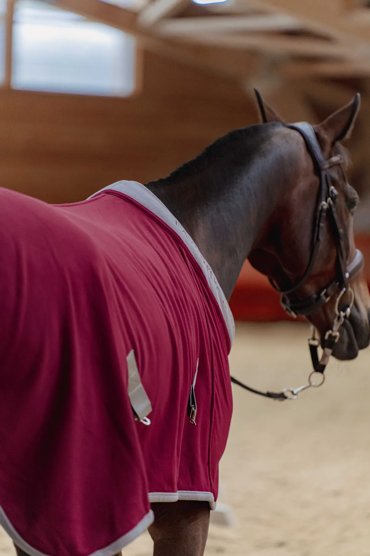 Попона флисовая FAVORITE HORSE Aristocratic (бордовая,155)