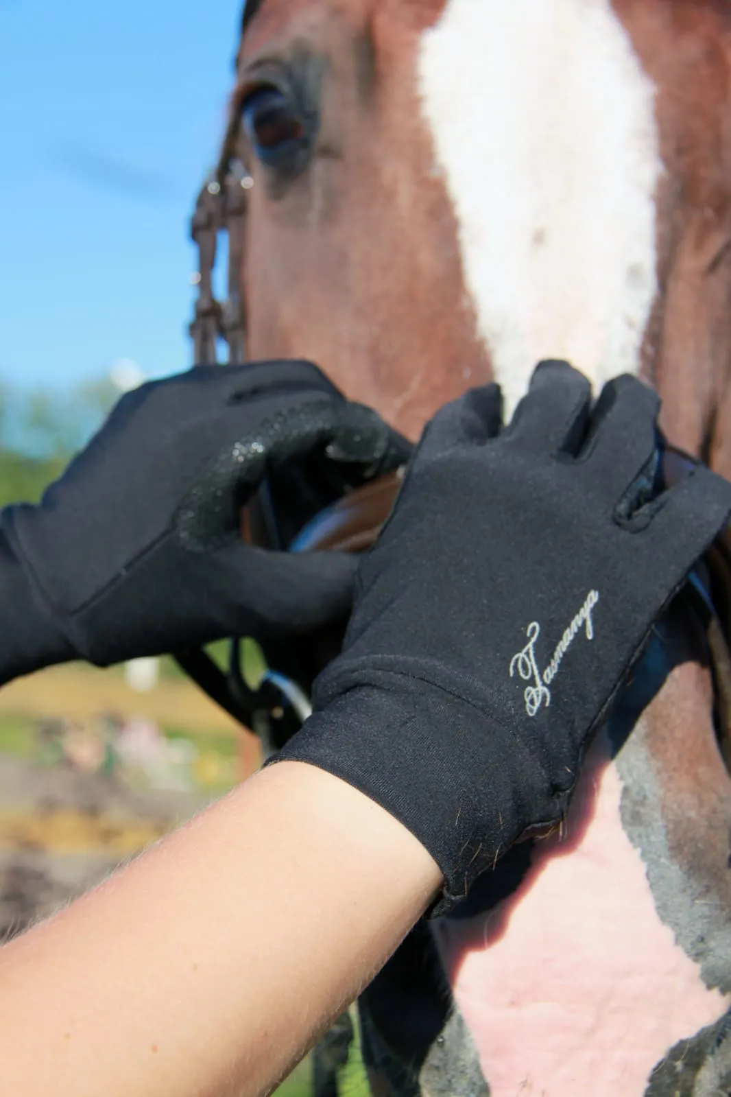 Перчатки зимние двухслойные Tasmanya XS