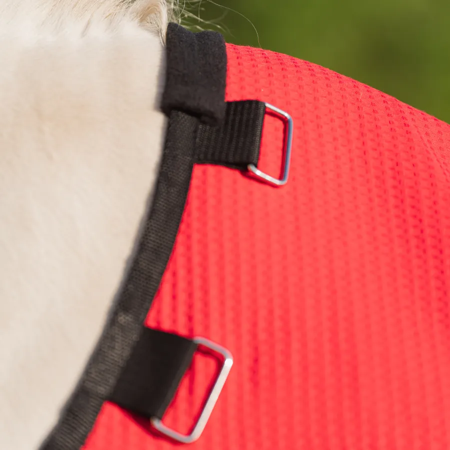 Попона антимоскитная FAVORITE HORSE Ultra-Light (красная,155)