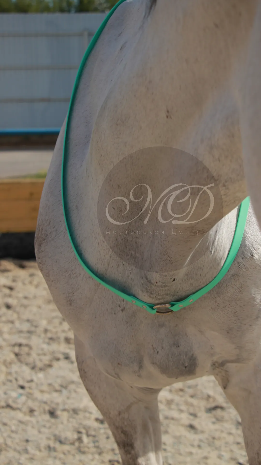 Кордео из биотана