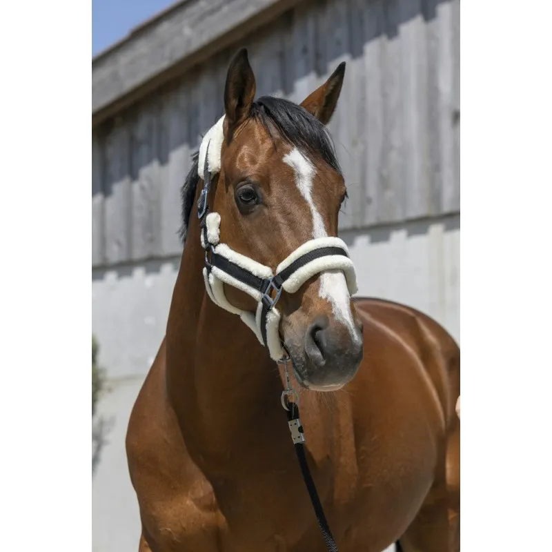 Недоуздок с мехом