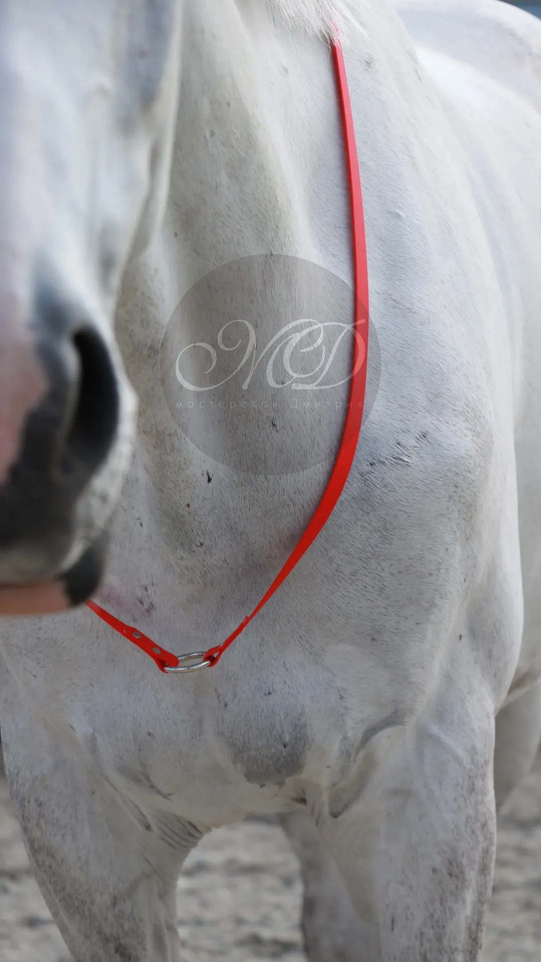 Кордео из биотана