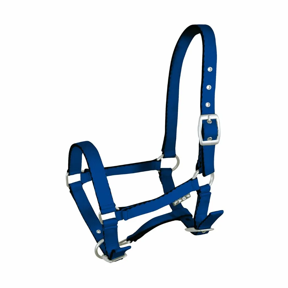 Недоуздок York Tobi для жеребят синий Foall