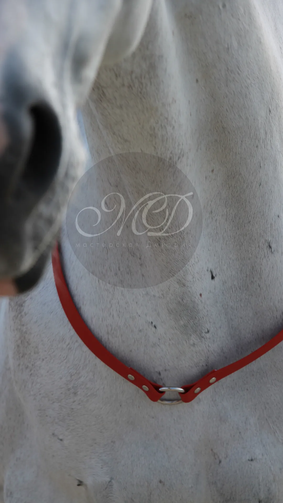 Кордео из биотана