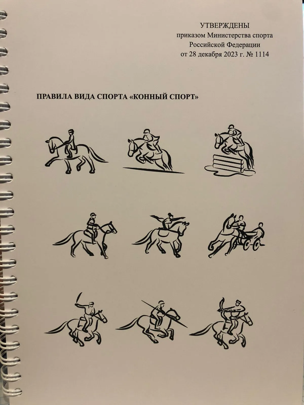 Правила вида конный спорт