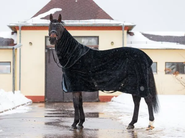Попона меховая Teddy MANIC, Чёрная, размер 95