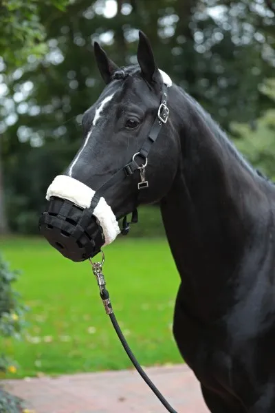 Намордник "Teddy" с флисом