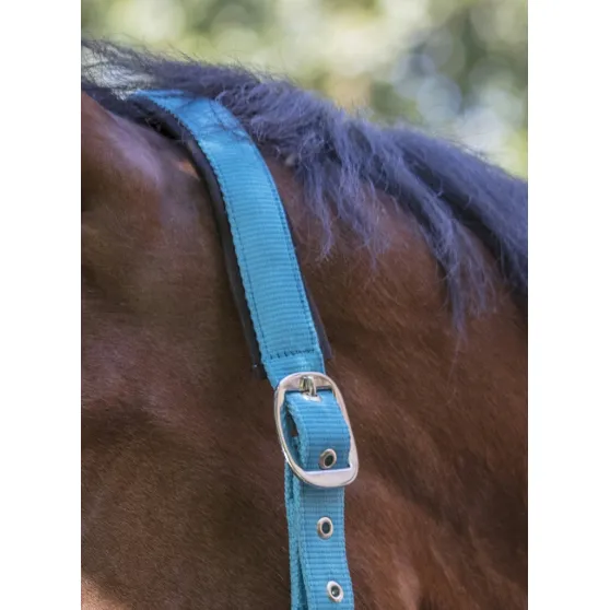 Недоуздок "Fluo"