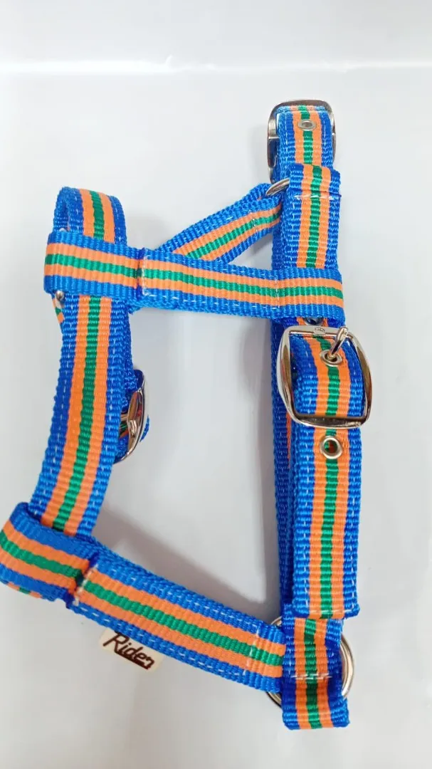 Недоуздок для жеребёнка