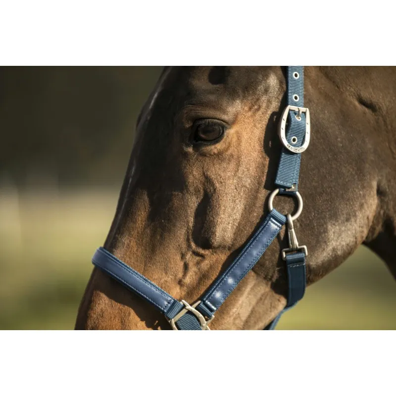 Недоуздок LAMI-CELL "LC"