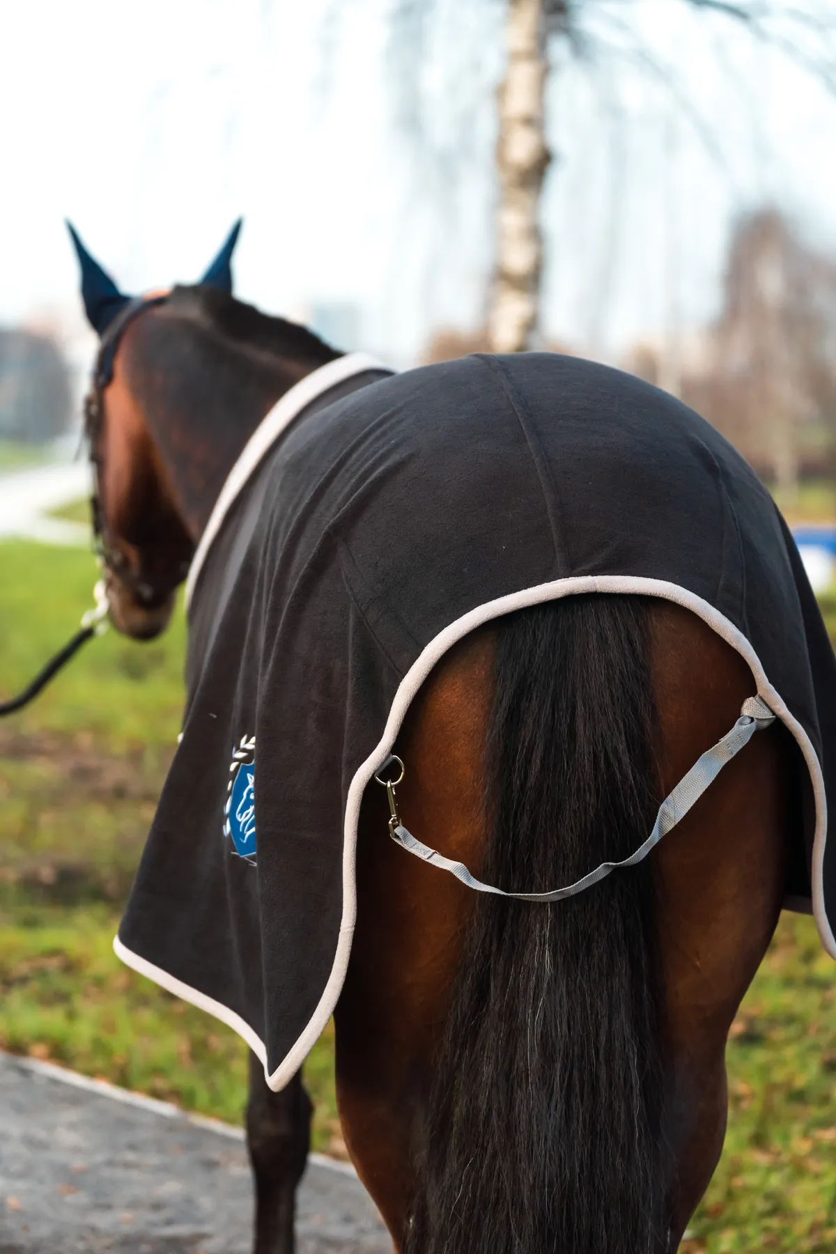 Попона флисовая FAVORITE HORSE Aristocratic (черная,155)