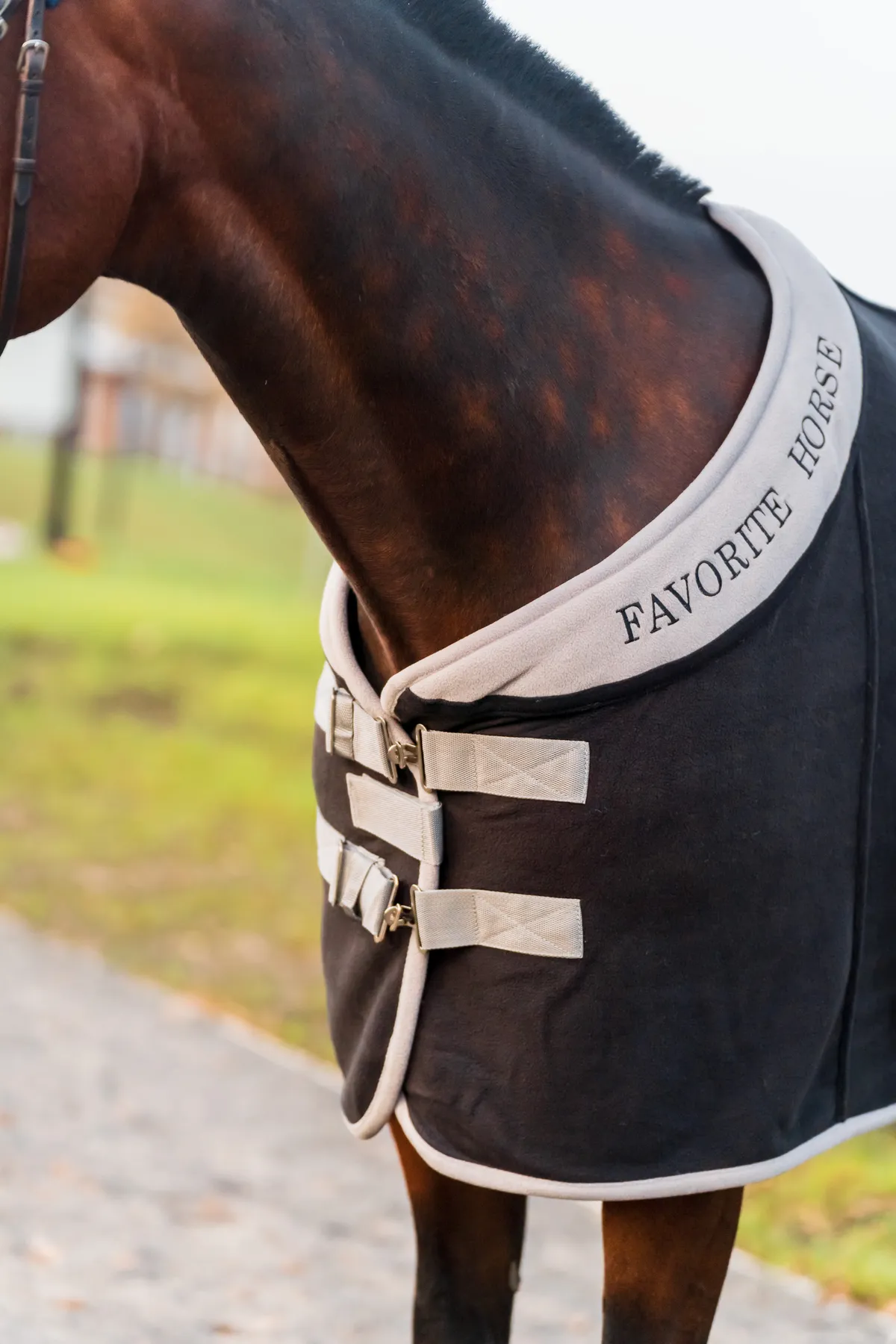 Попона флисовая FAVORITE HORSE Aristocratic (черная,155)