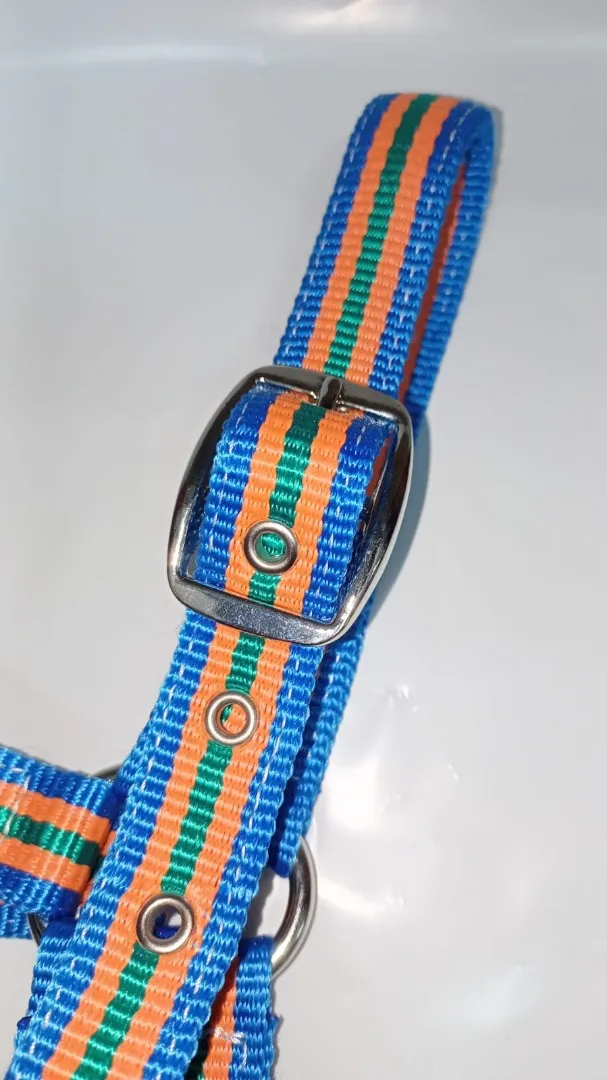 Недоуздок для жеребёнка