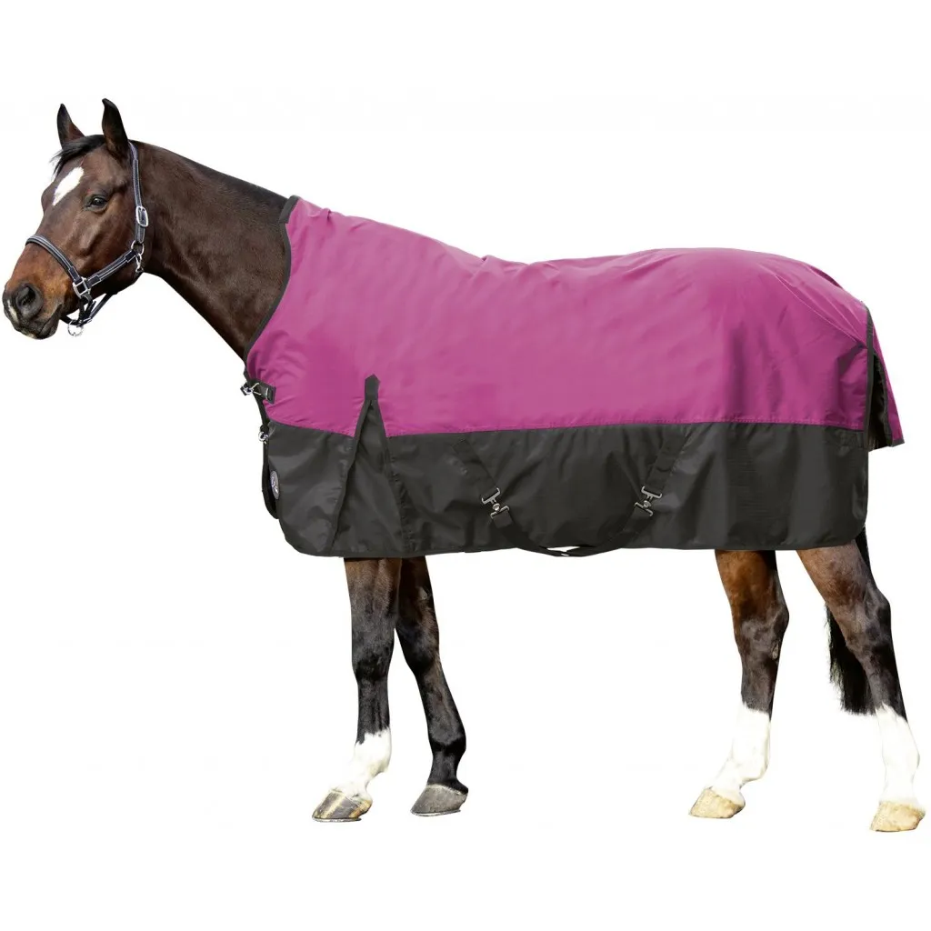 Попона "Winnipeg"