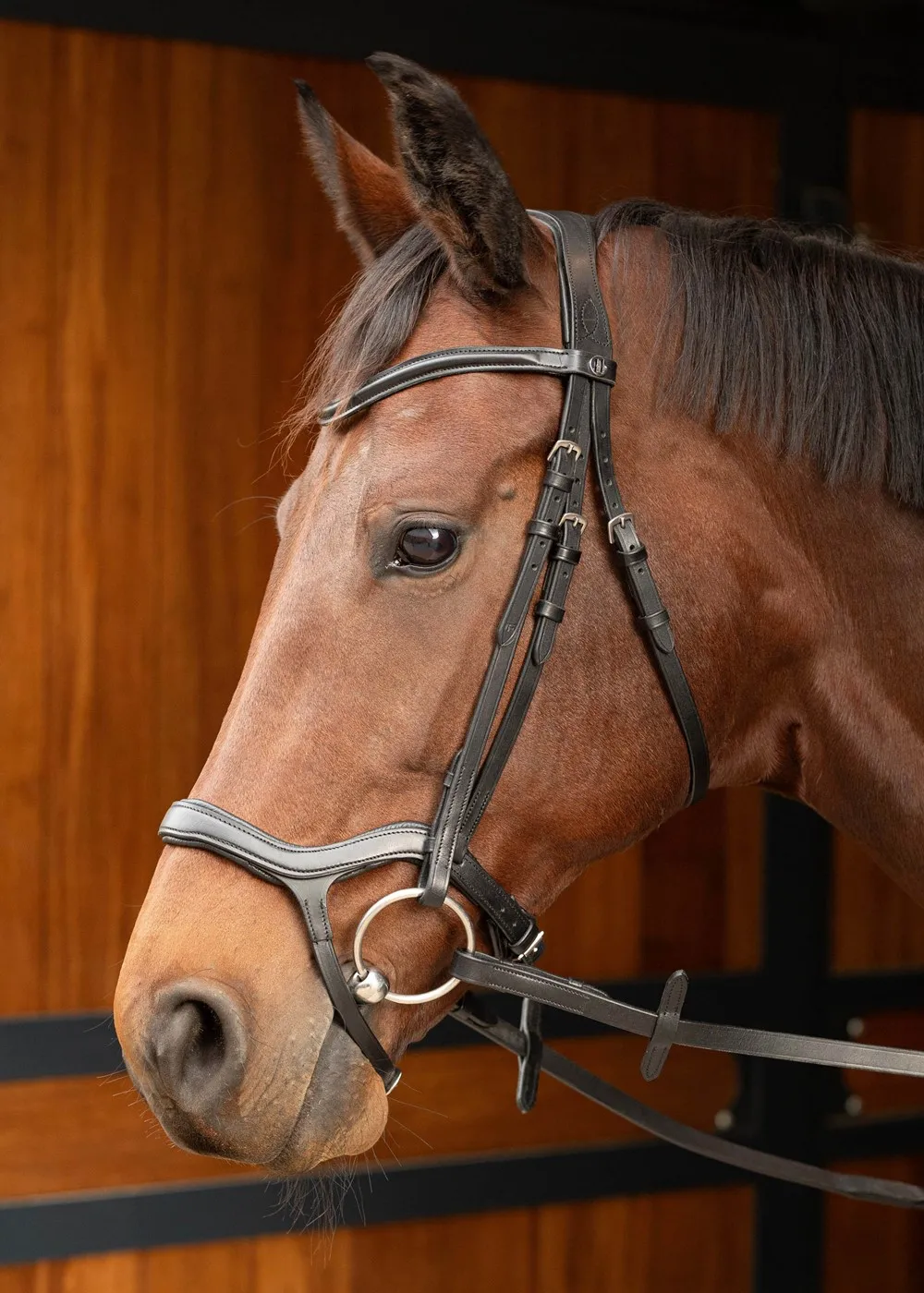 Уздечка Anatomic от Harry's Horse (Чёрный, FULL)