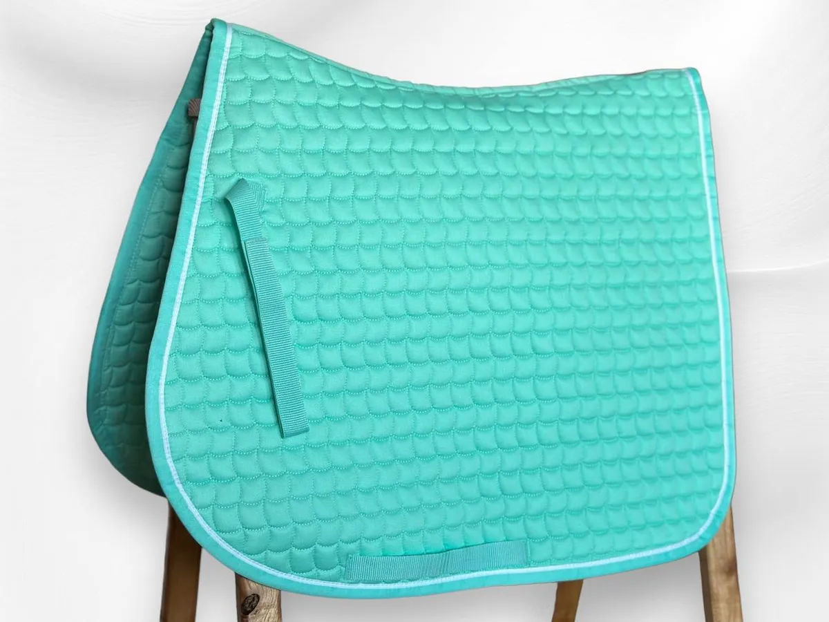 Вальтрап LOESDAU Horse-friends