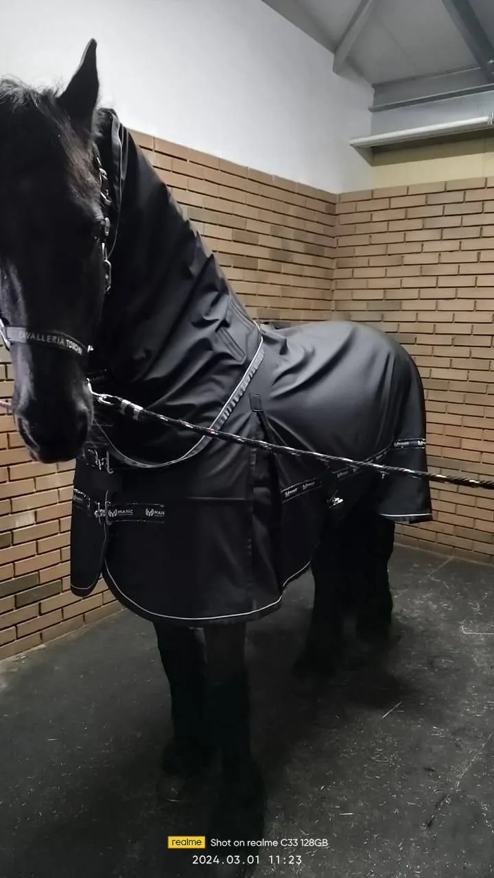 Попона SoftShell CHANEL прогулочная с капором, Чёрная, размер 165