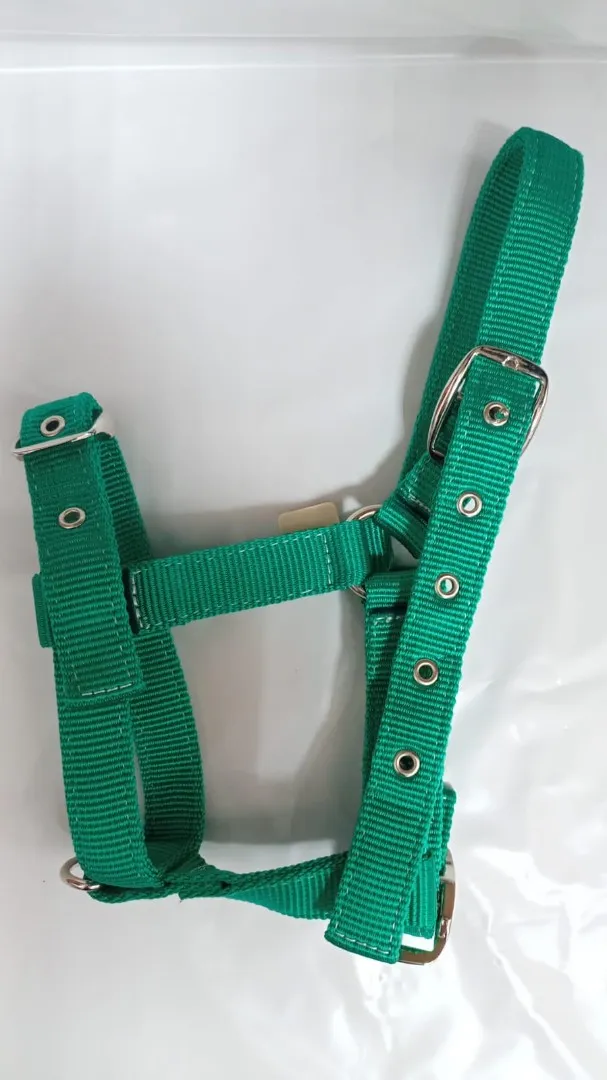 Недоуздок для жеребёнка