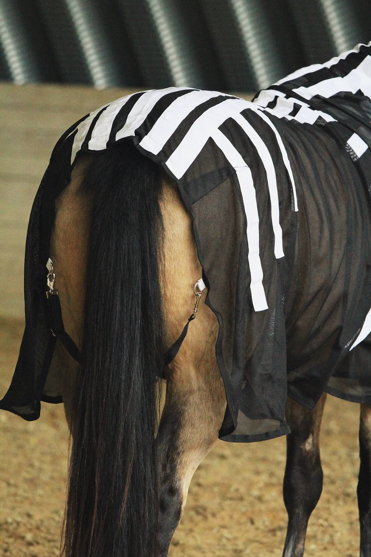 Магнитная попона для лошади, 145 размер