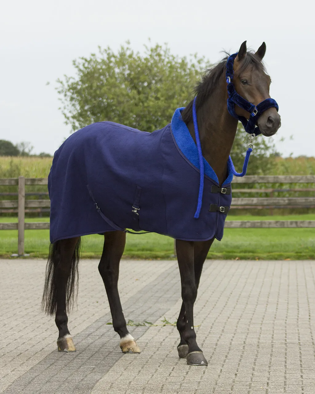 Недоуздок с мехом "Аляска", QHP