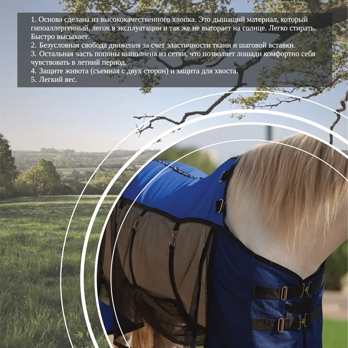 Попона антимоскитная FAVORITE HORSE Ultra-Light (синяя,155)