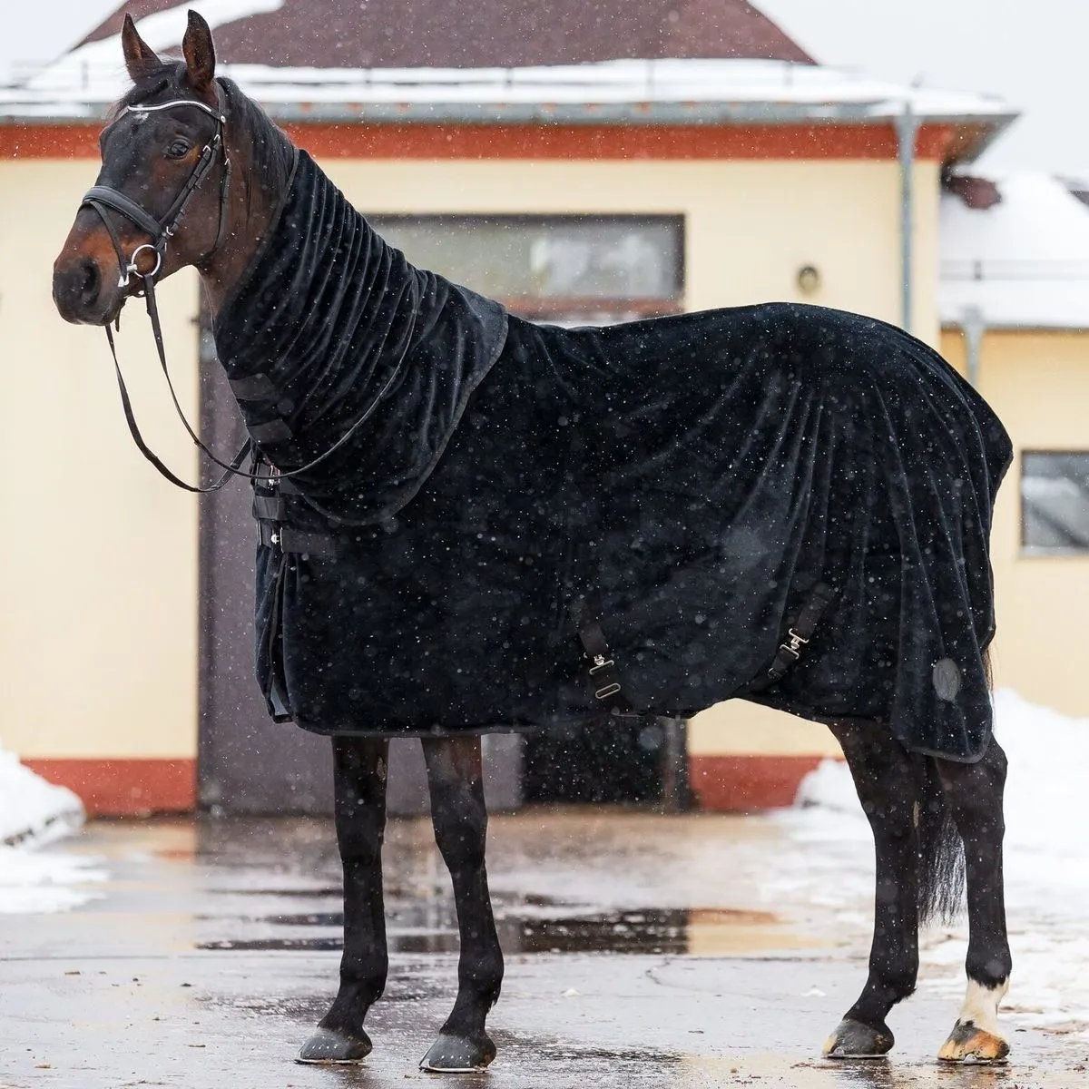 Попона меховая Teddy MANIC, Чёрная, размер 165