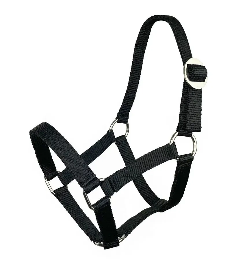 Недоуздок York Shetty черный