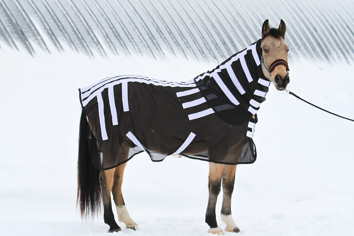 Магнитная попона для лошади, 135 размер