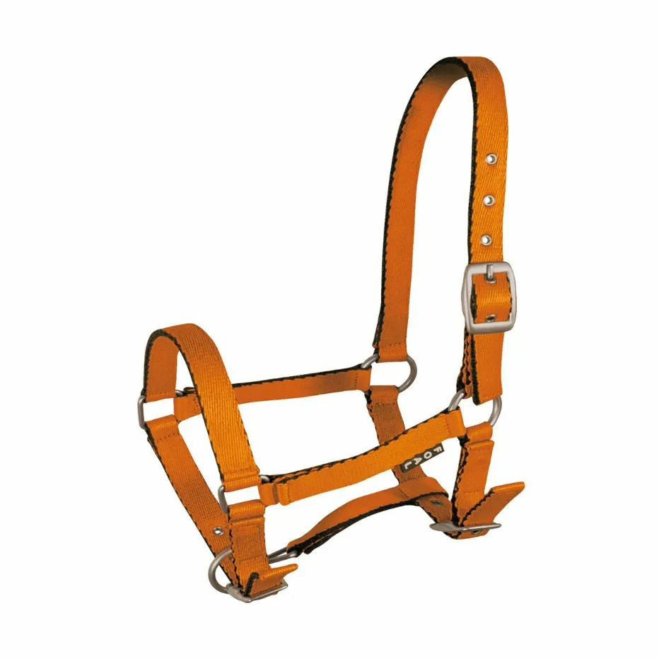 Недоуздок York Tobi для жеребят оранжевый Foall