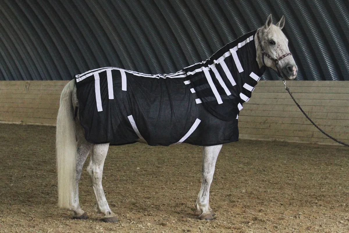 Магнитная попона для лошади, 155 размер