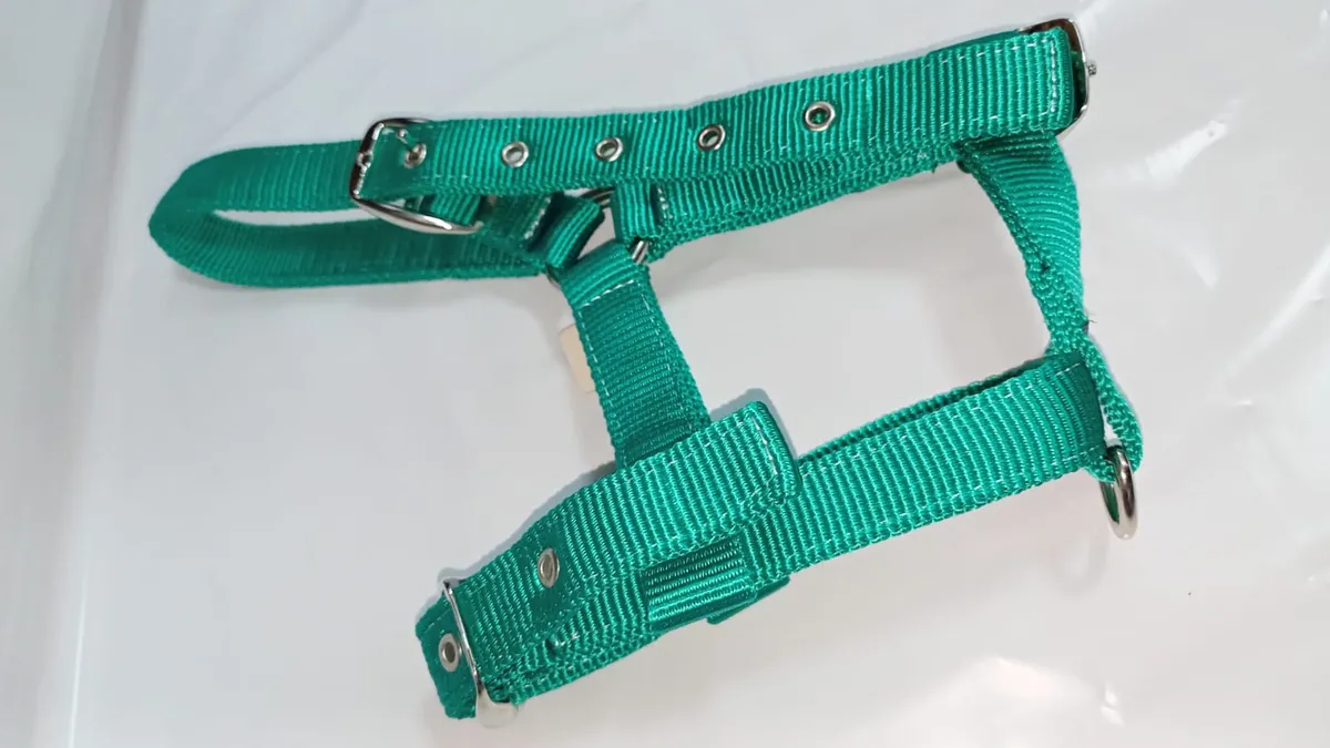 Недоуздок для жеребёнка