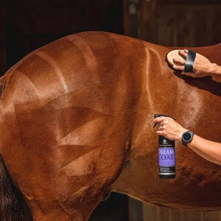 Dreamcoat / Кондиционер