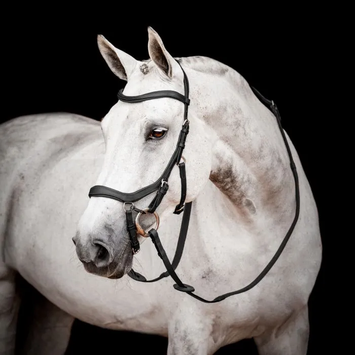 Уздечка анатомическая Horseware Micklem 2 Multi, Large Cob
