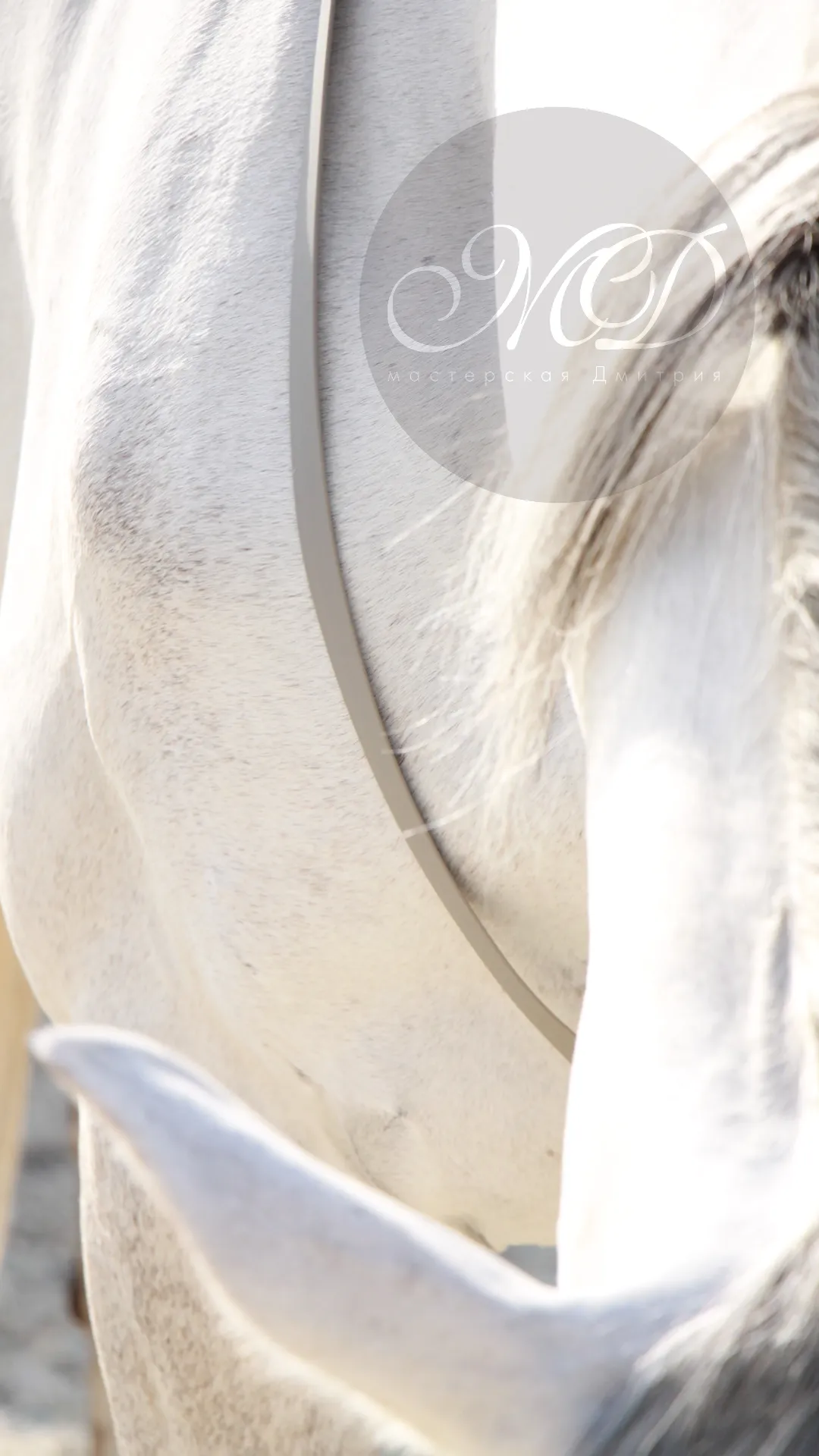 Кордео из биотана