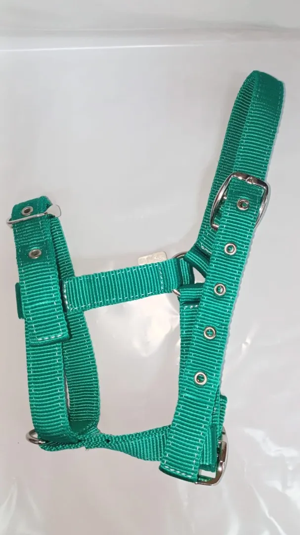 Недоуздок для жеребёнка