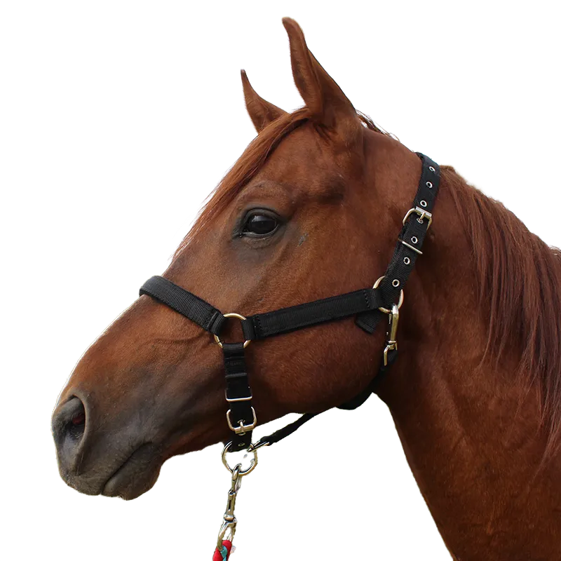 Недоуздок нейлоновый (COB)