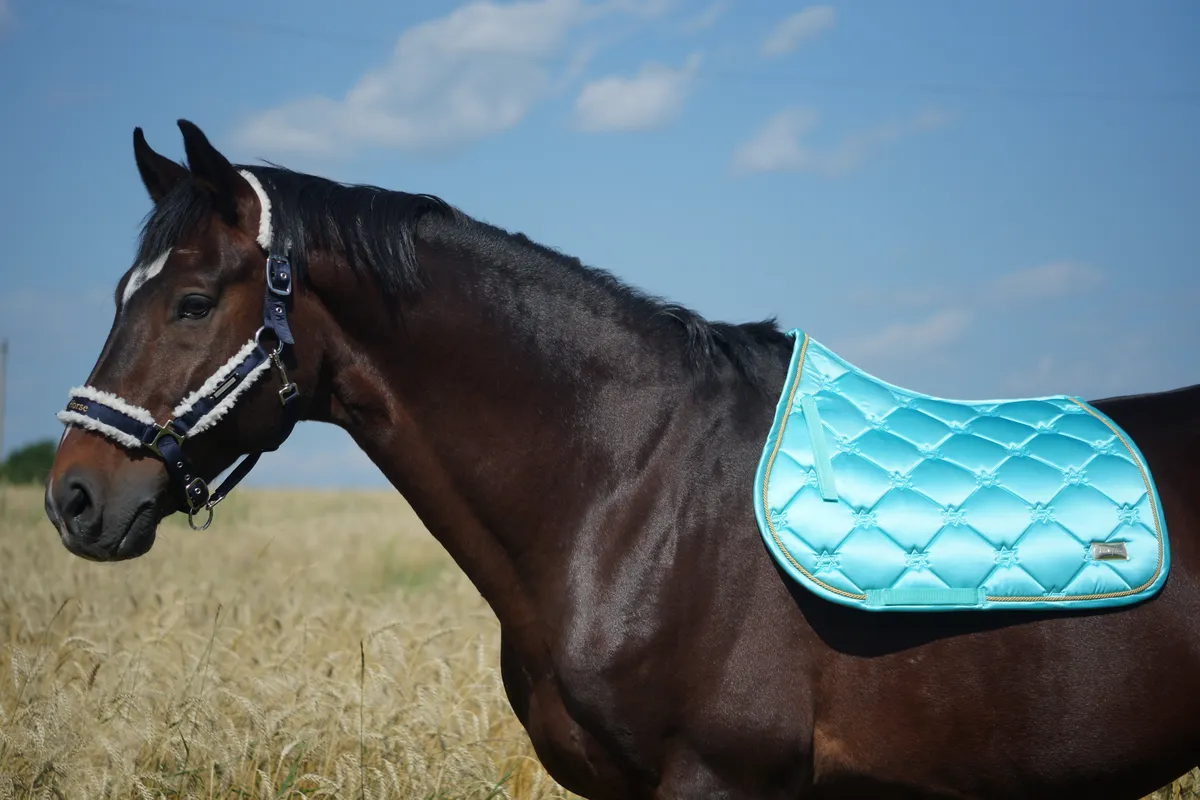 Конкурный вальтрап