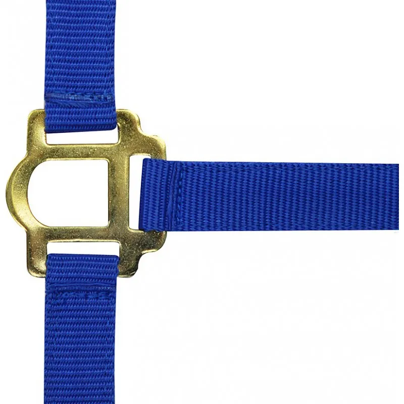 Недоуздок "RIDING WORLD"