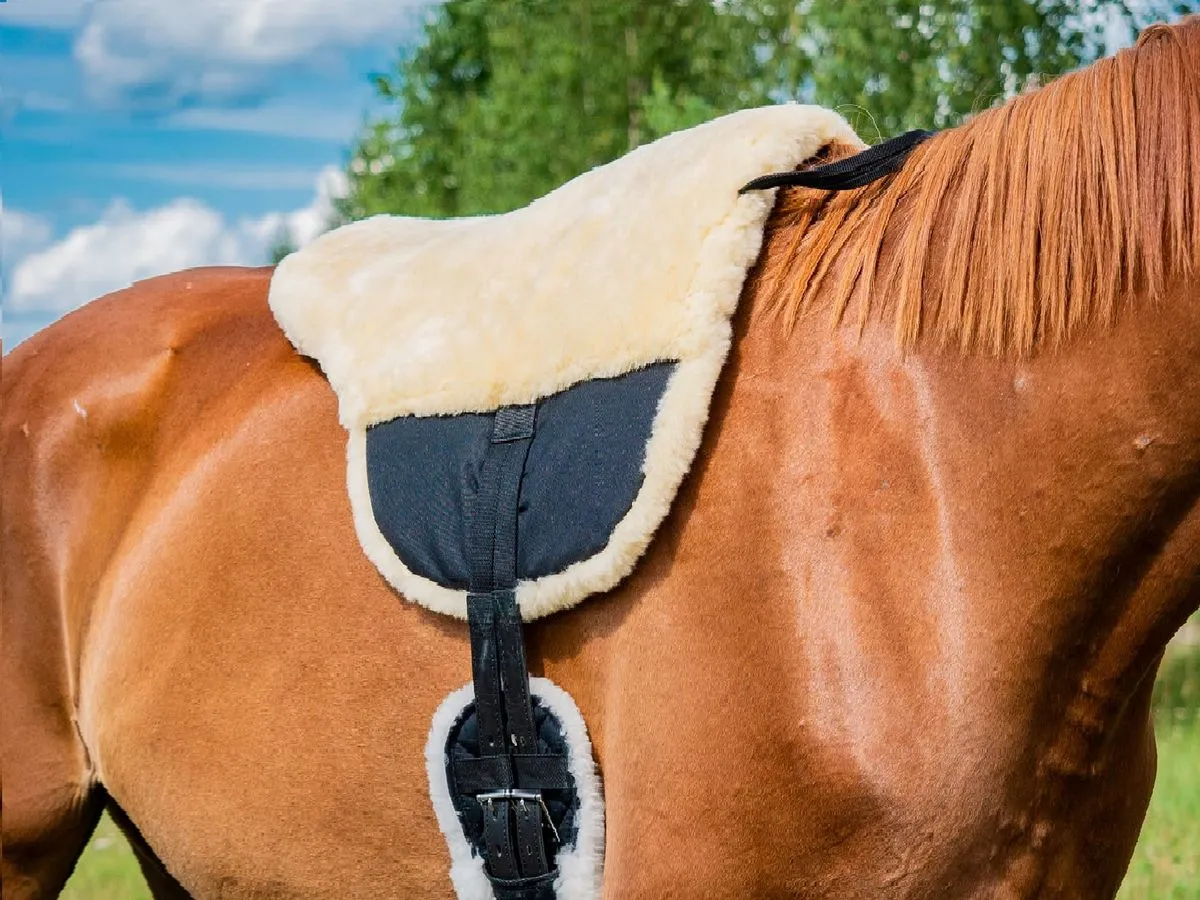 Пад для езды без седла, мексиканский (бежевый)