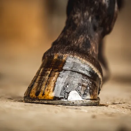 Масло "Hoof oil"